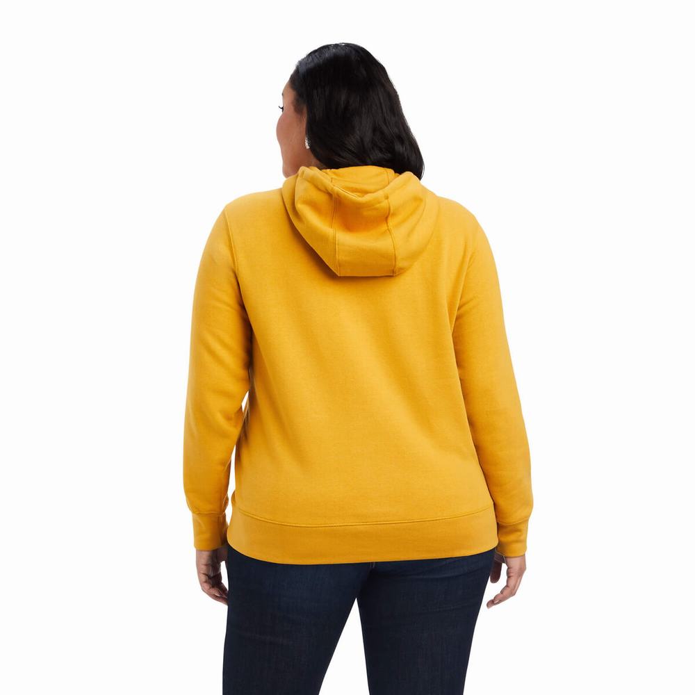 Gold Women's Ariat REAL Classic Arm Logo Hoodies | 4680-EUVQB