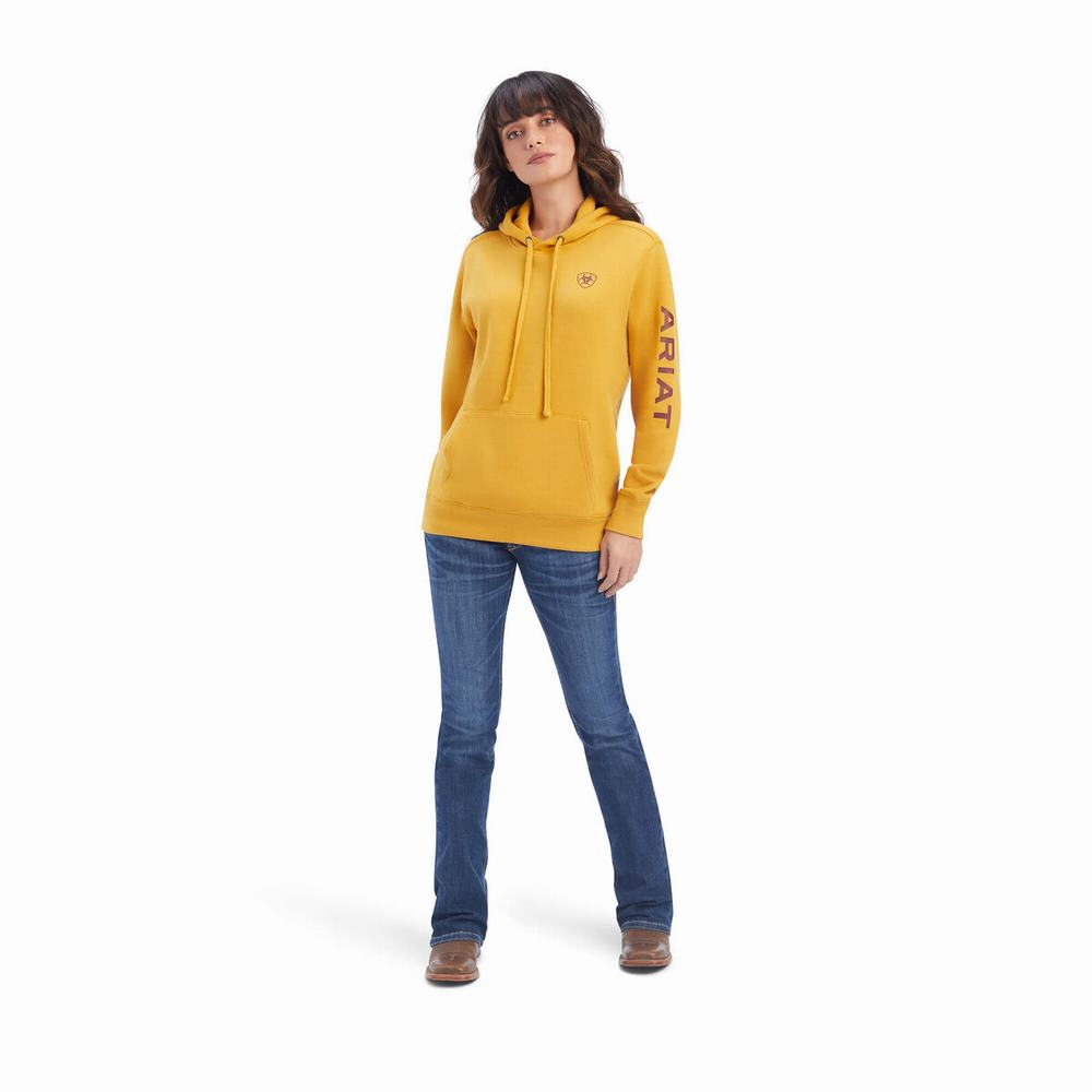 Gold Women's Ariat REAL Classic Arm Logo Hoodies | 4680-EUVQB