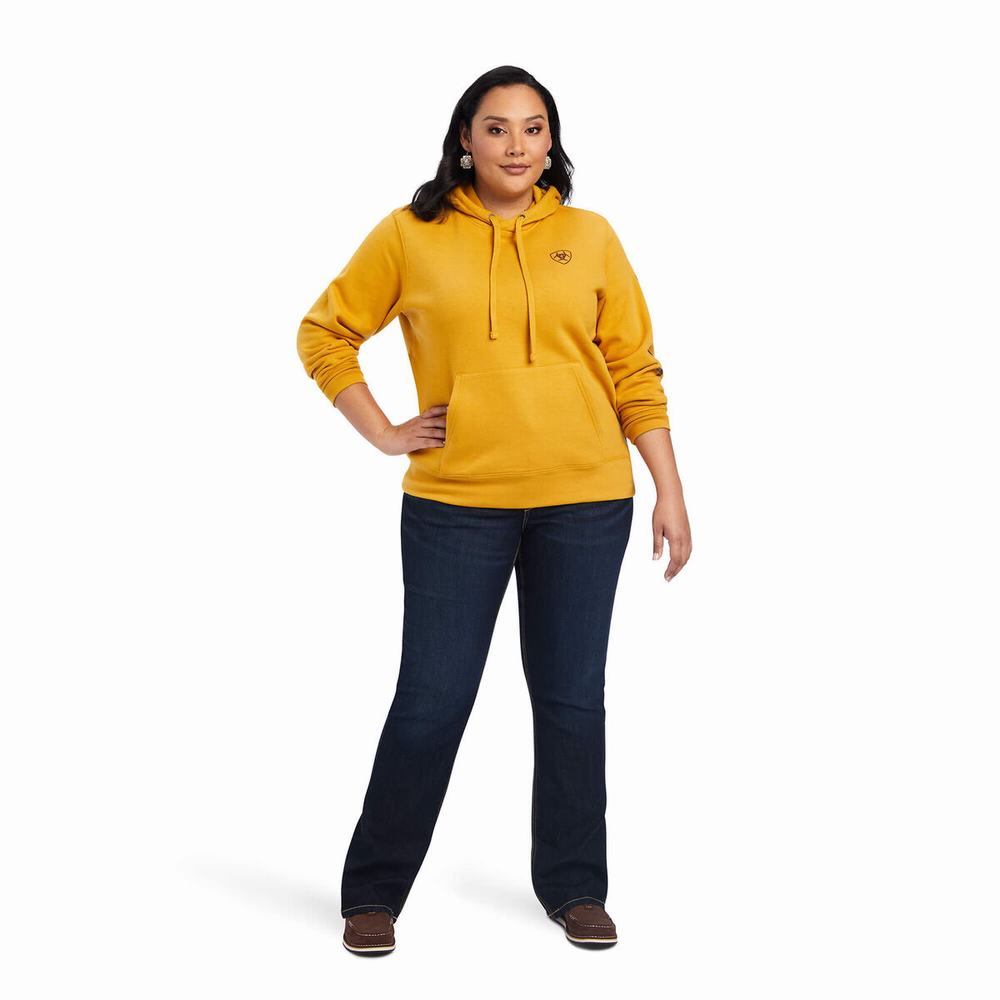 Gold Women's Ariat REAL Classic Arm Logo Hoodies | 4680-EUVQB