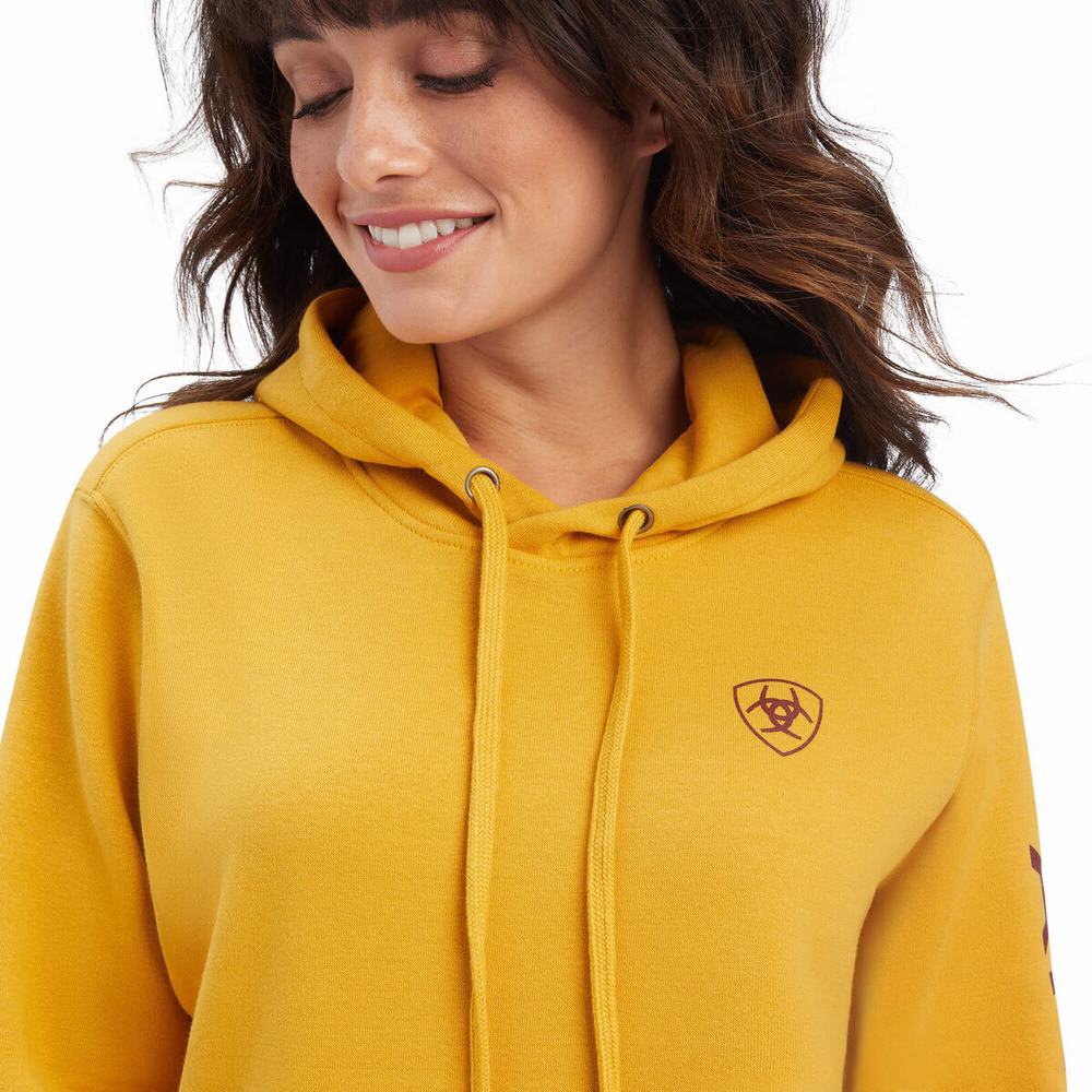 Gold Women's Ariat REAL Classic Arm Logo Hoodies | 4680-EUVQB