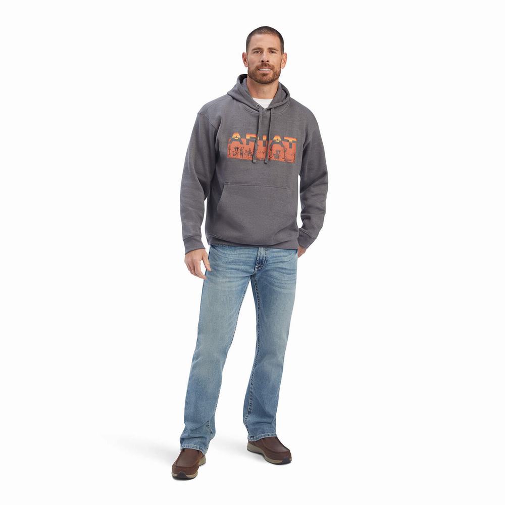 Grey Men's Ariat Desert Roam Hoodies | 5078-QYUFV