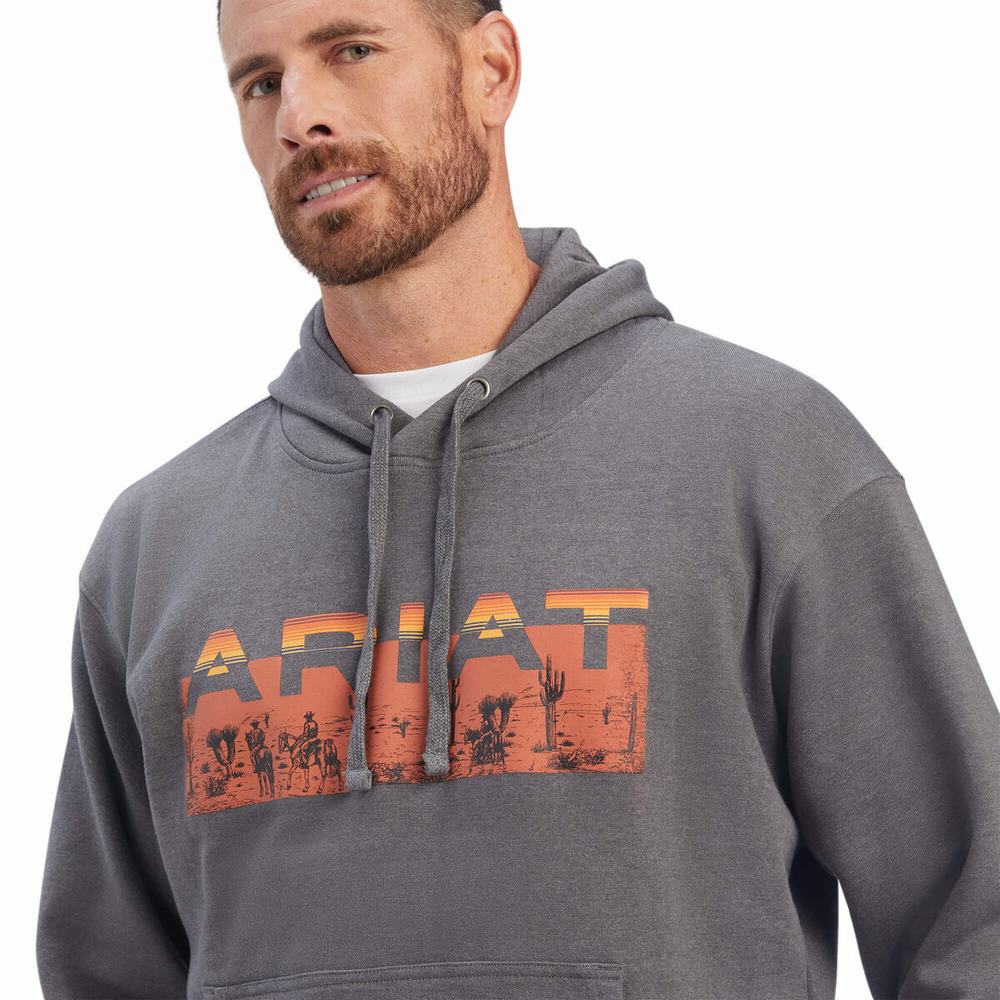 Grey Men's Ariat Desert Roam Hoodies | 5078-QYUFV