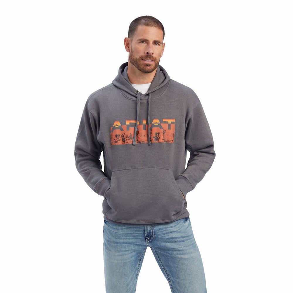 Grey Men\'s Ariat Desert Roam Hoodies | 5078-QYUFV