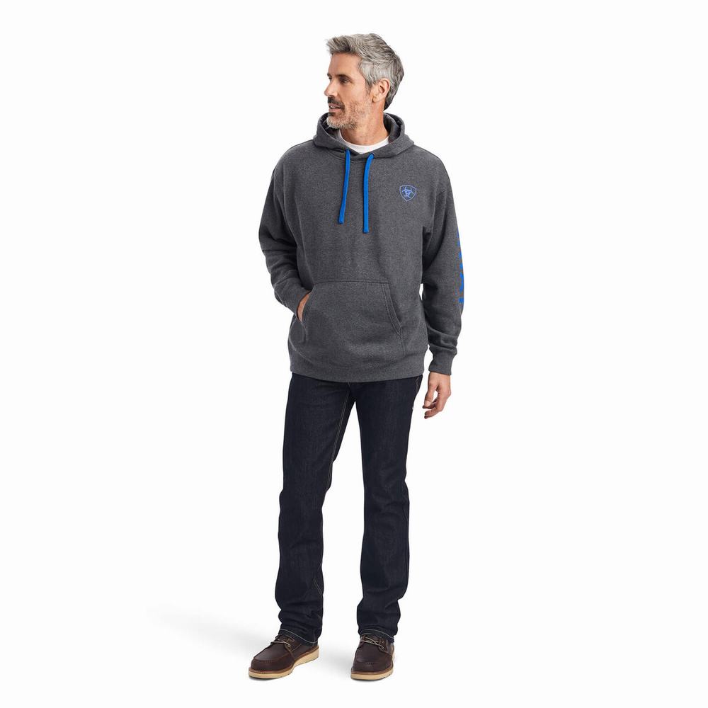 Grey Men's Ariat Logo Hoodies | 7042-ODRSA