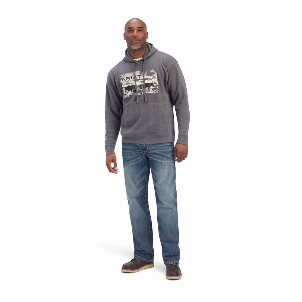 Grey Men's Ariat Pastures Hoodies | 7814-CIAQM