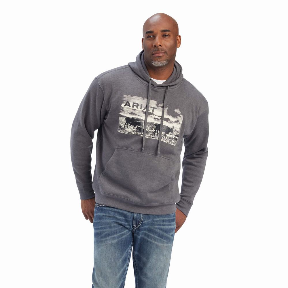 Grey Men\'s Ariat Pastures Hoodies | 7814-CIAQM