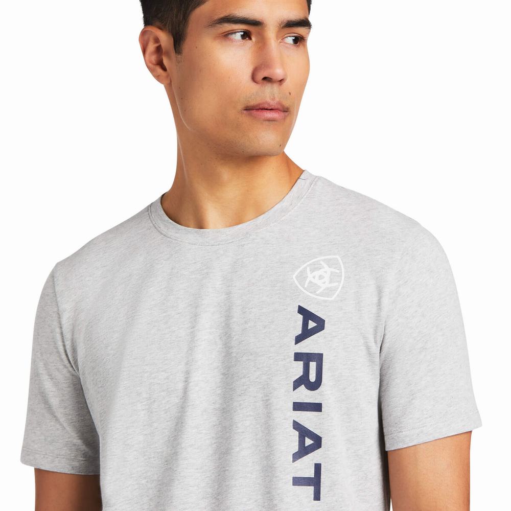 Grey Men's Ariat Vertical Logo English Riding | 8360-PNMOZ