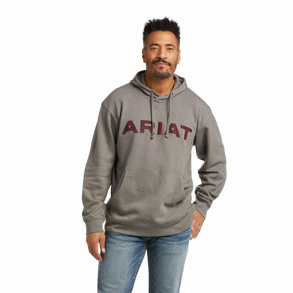 Grey Red Men\'s Ariat Basic Hoodies | 3807-CPDWZ