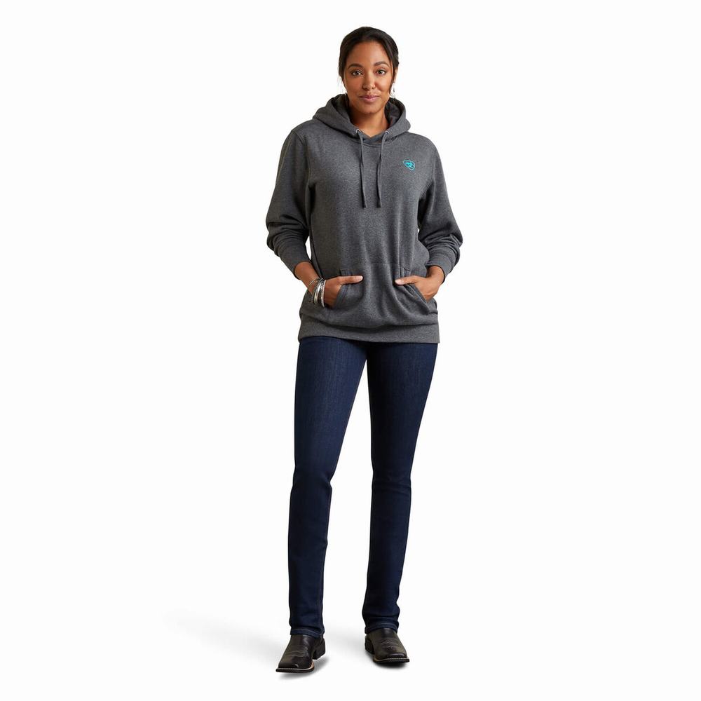 Grey Women's Ariat Logo Hoodies | 1794-NOJCQ