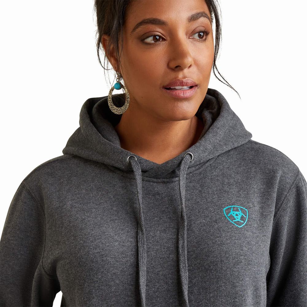 Grey Women's Ariat Logo Hoodies | 1794-NOJCQ