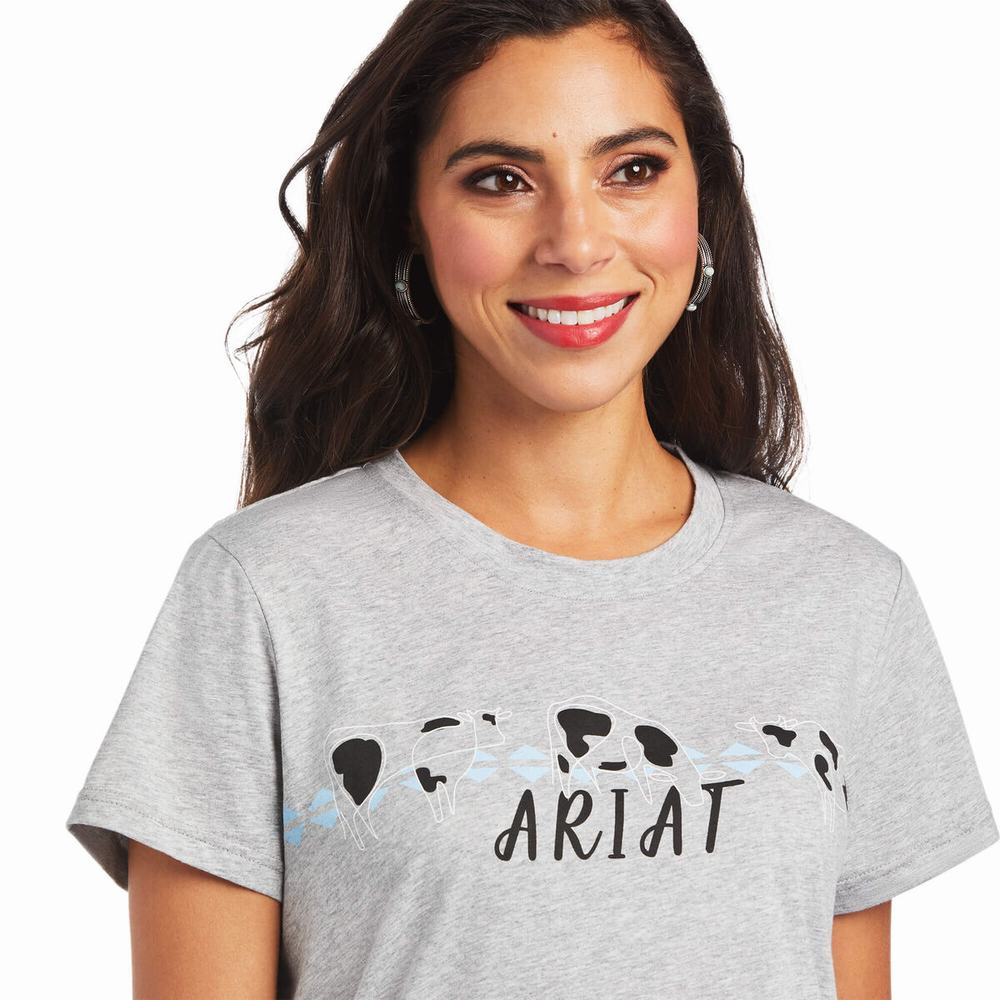 Grey Women's Ariat REAL Cow Pasture Tops | 1475-IKVRW