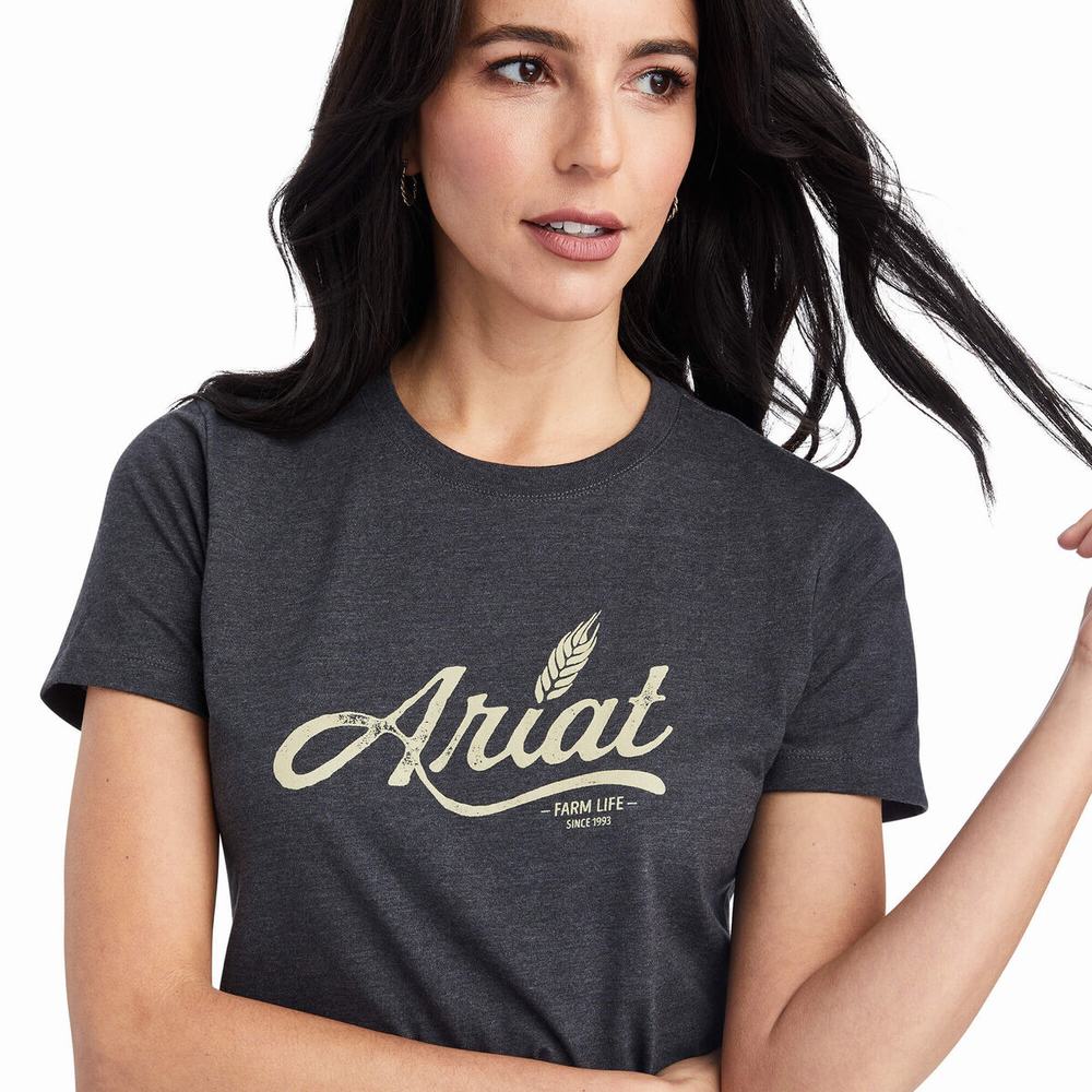 Grey Women's Ariat Wheat Script Tops | 4793-FTLMR