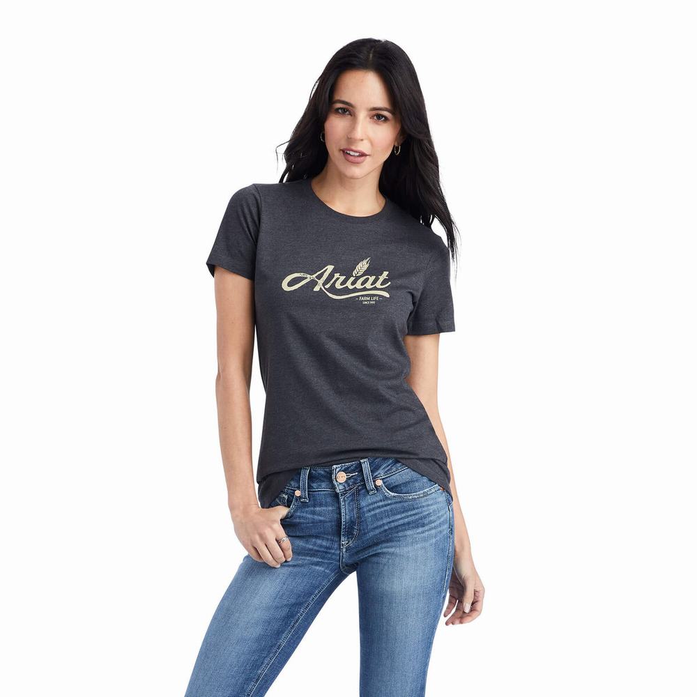 Grey Women\'s Ariat Wheat Script Tops | 4793-FTLMR