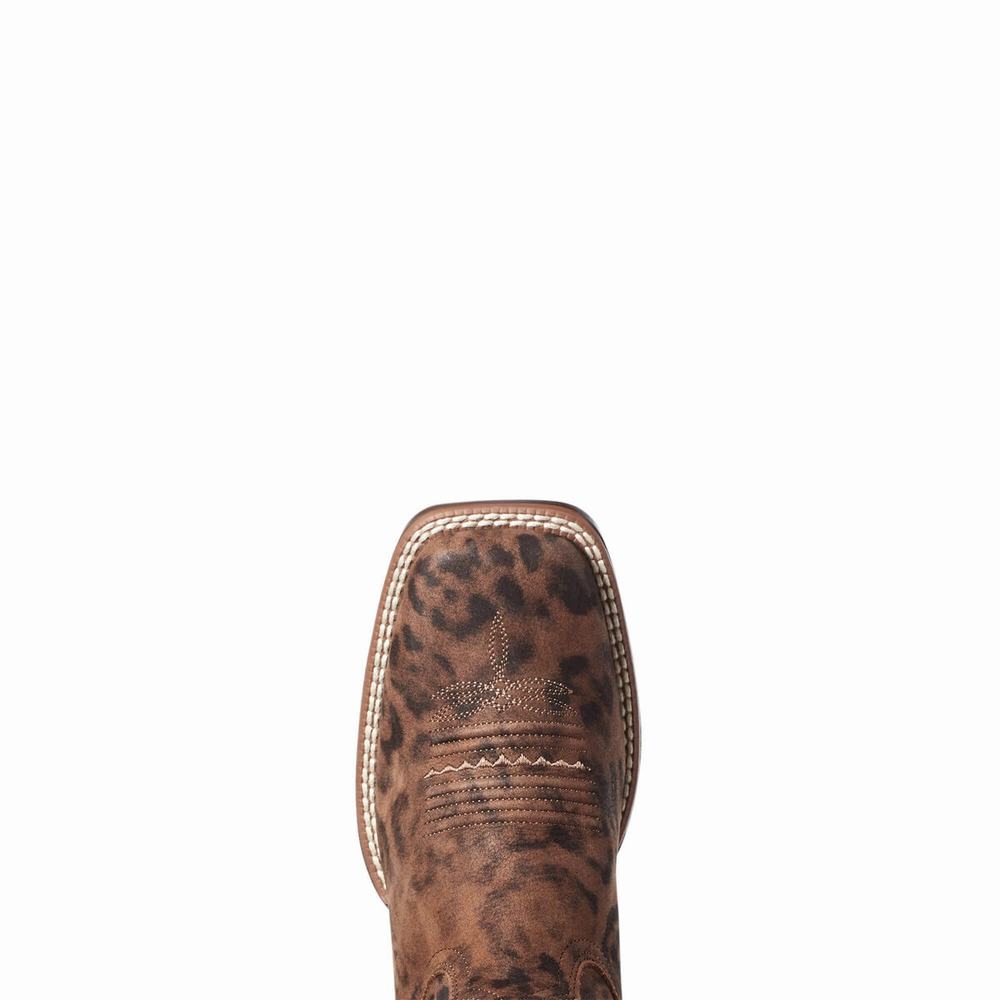 Leopard Women's Ariat PrimeTime Western Boots | 5209-ARHQI