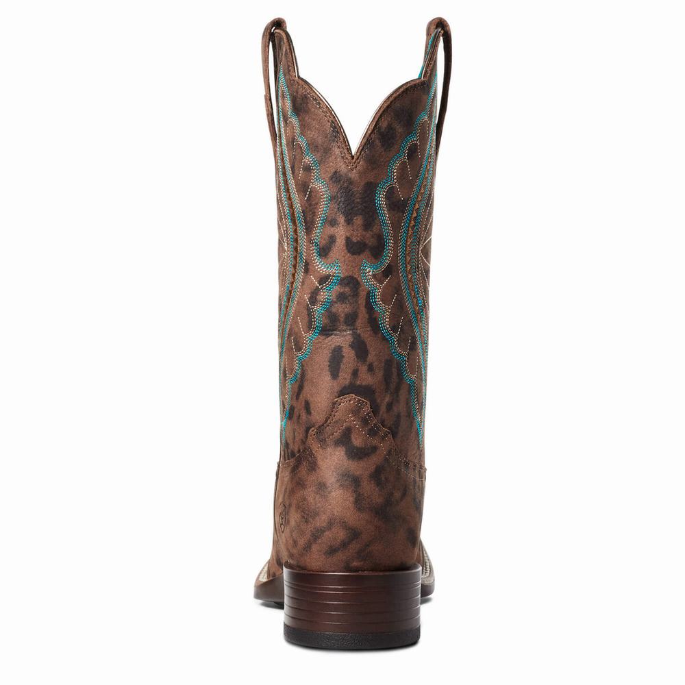 Leopard Women's Ariat PrimeTime Western Boots | 5209-ARHQI