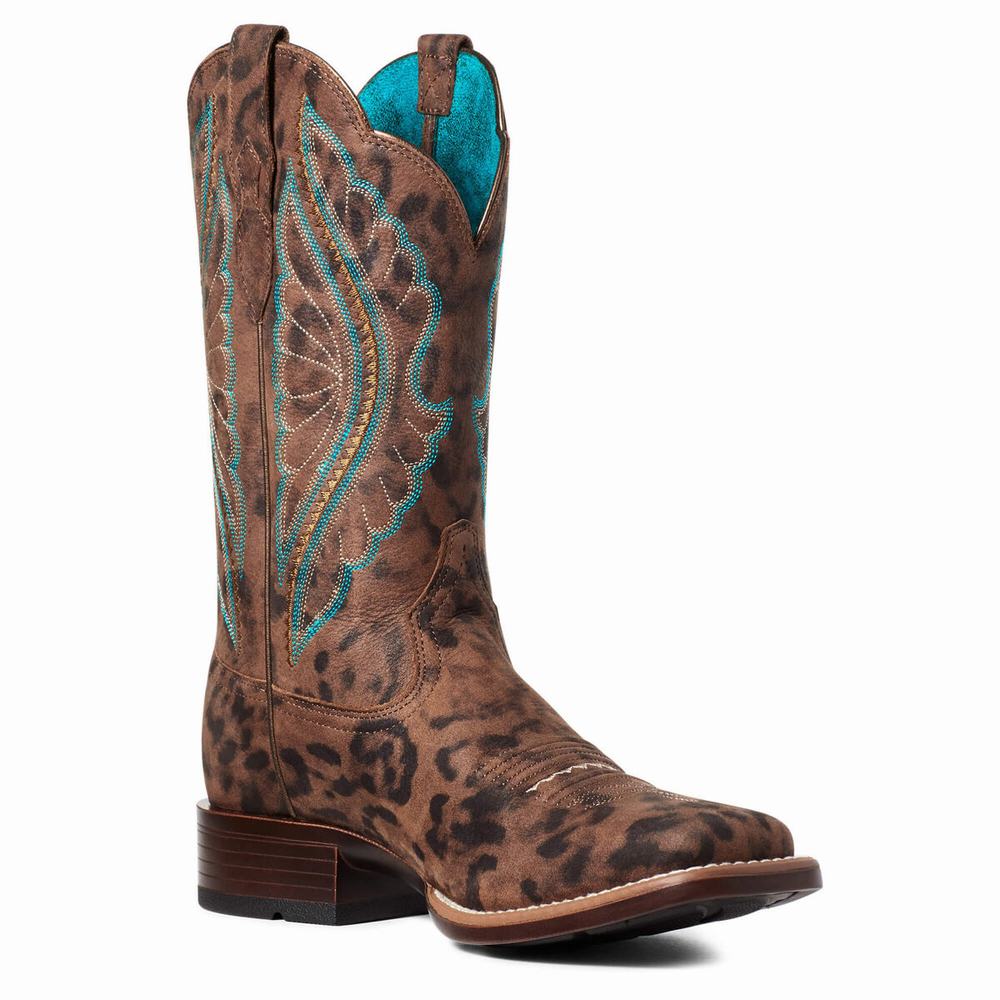 Leopard Women's Ariat PrimeTime Western Boots | 5209-ARHQI