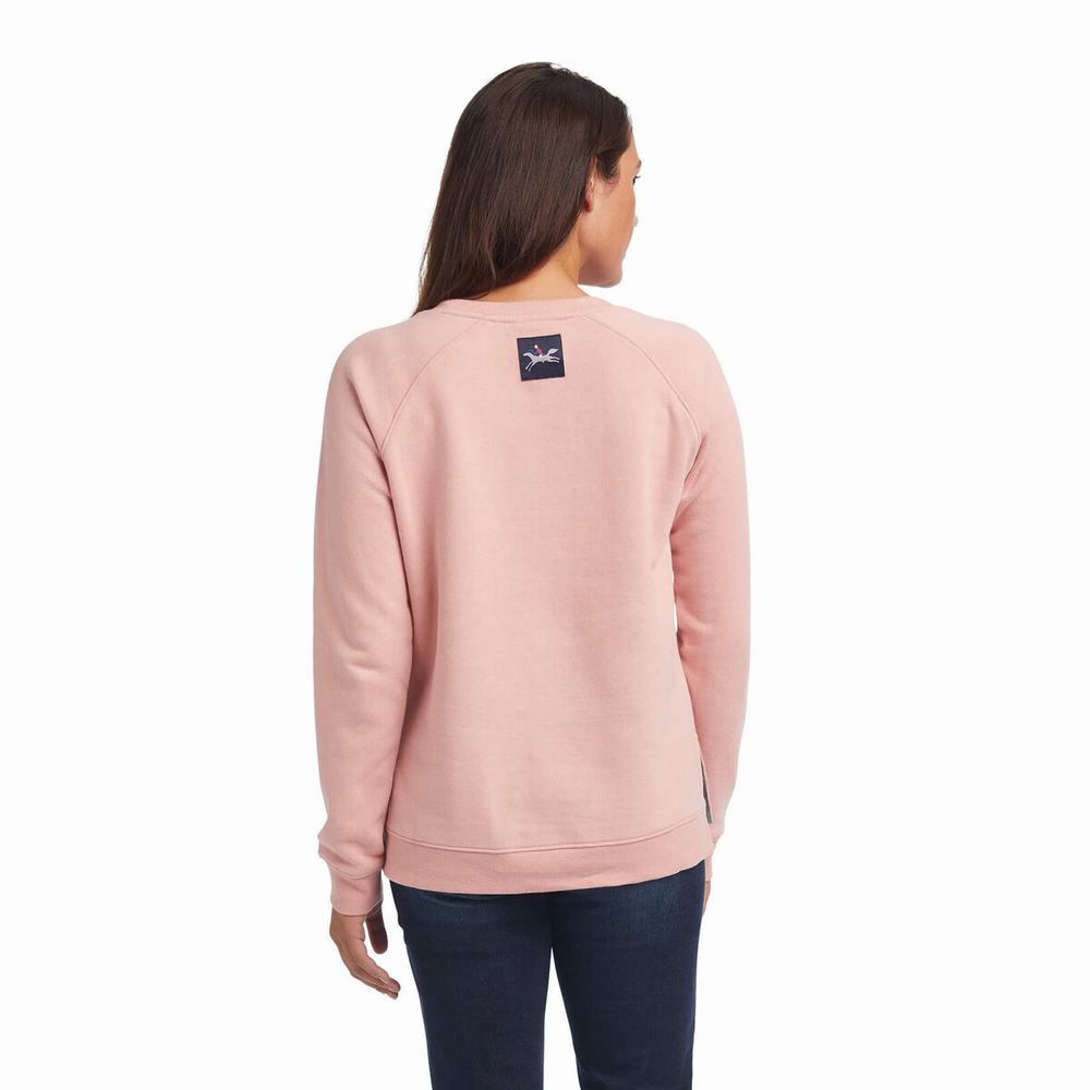 Pink Women's Ariat Torrey Hoodies | 5492-RAYWD