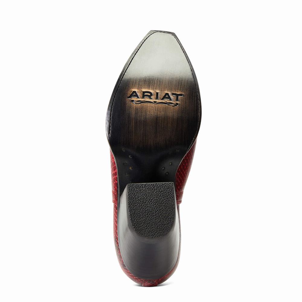 Red Snake Women's Ariat Dixon Booties | 1953-LAYED