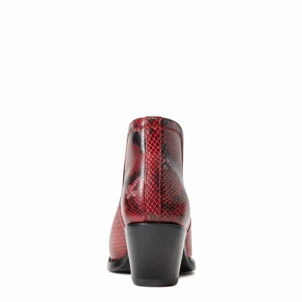 Red Snake Women's Ariat Dixon Booties | 1953-LAYED