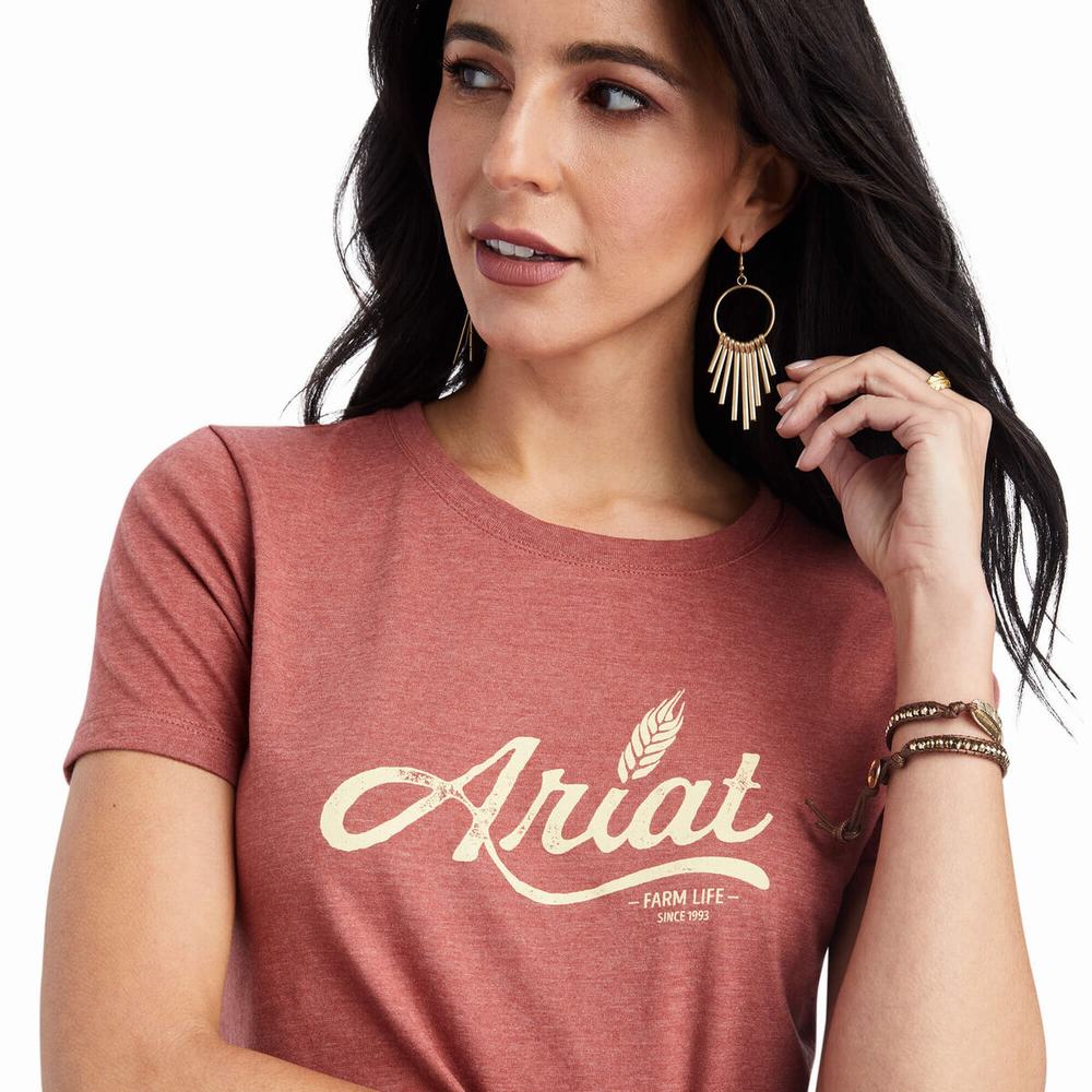 Red Women's Ariat Wheat Script Tops | 4951-VCNYK